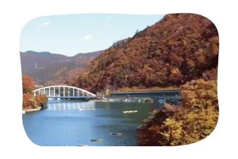 相模湖嵐山の紅葉