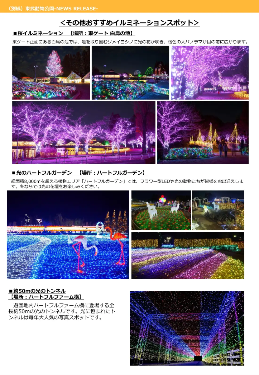 Winter Illumination 2026-2027