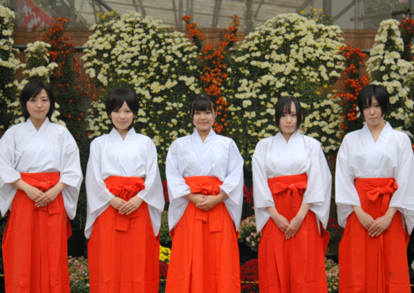 Shimotsuma Chrysanthemum Festival