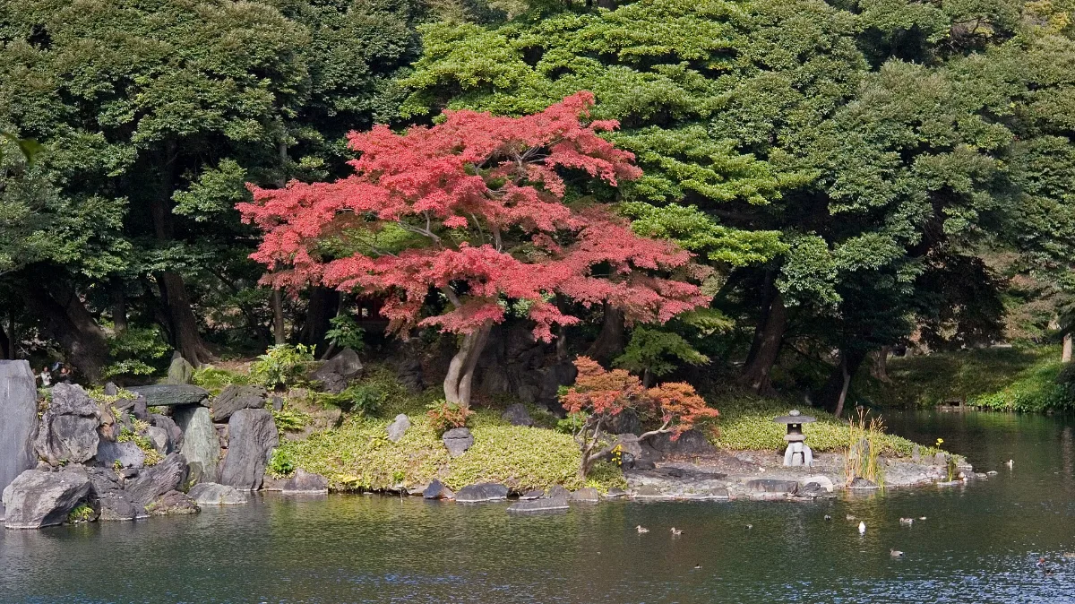 都立９庭園で最大級の紅葉を満喫！ 小石川後楽園「深山紅葉を楽しむ」