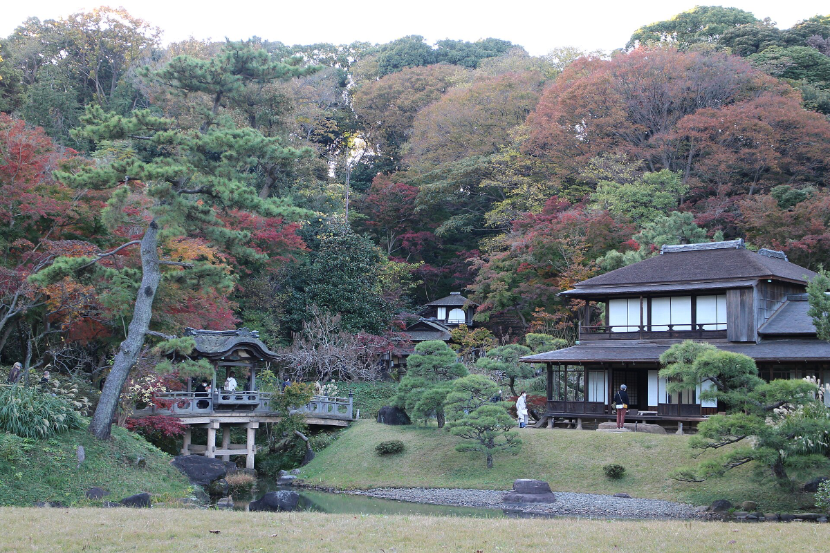 Sankeien Garden Autumn Leaves Promenade Opening