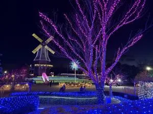 The 15th Suigo Sakura Illumination: Art Created by Light