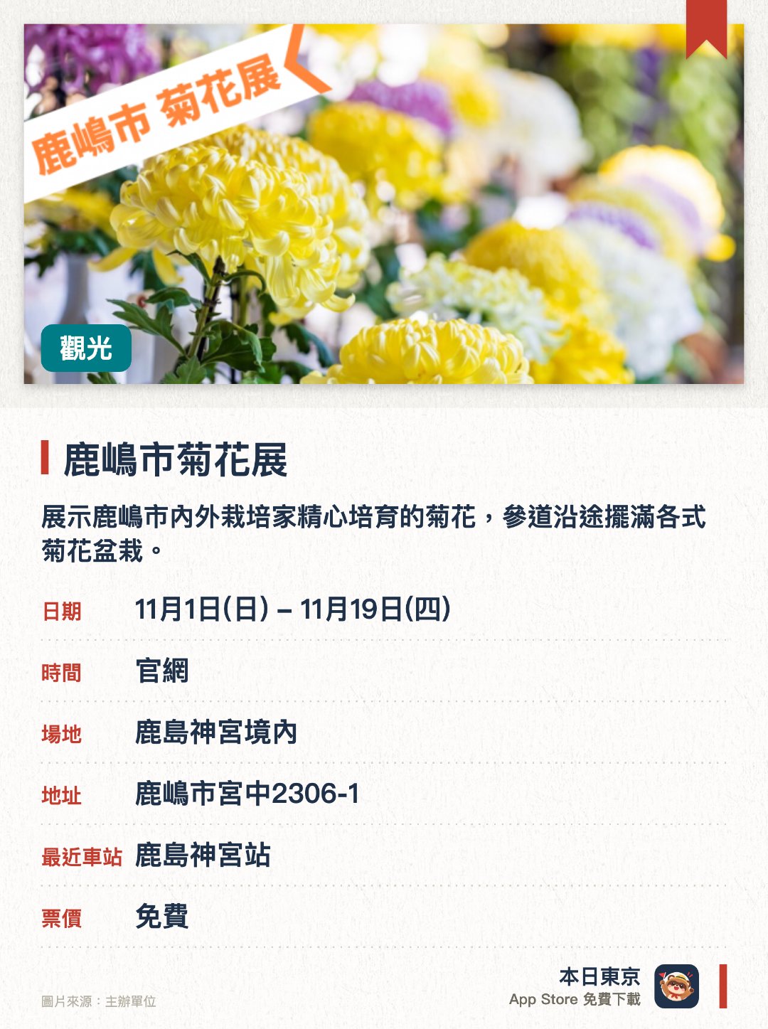鹿嶋市菊花展。11月1日–11月19日 · 鹿島神宮境內。展示鹿嶋市內外栽培家精心培育的菊花，參道沿途擺滿各式菊花盆栽。十一月祭典期間，鳥門至樓門的參道佈滿色彩繽紛的菊花景致