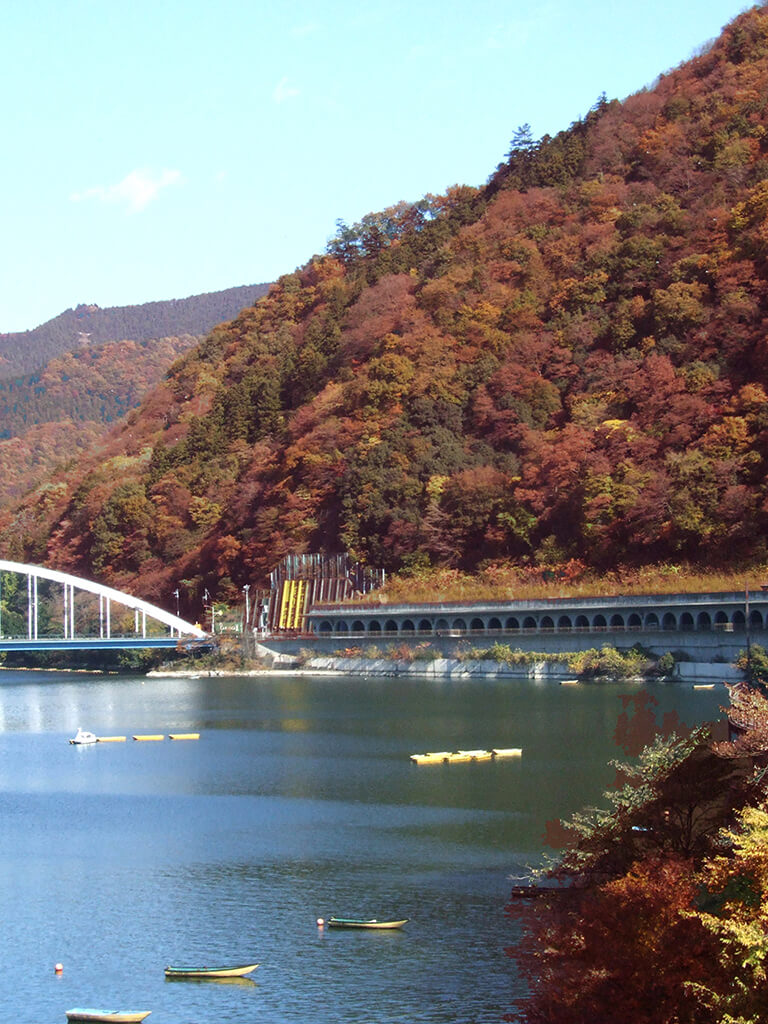 さがみ湖やまなみイルミネーション