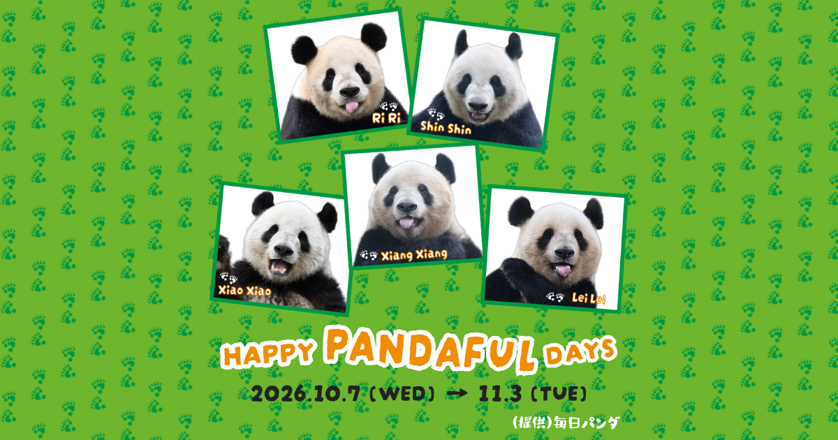 HAPPY PANDAFUL DAYS(ハッピー パンダフル デイズ)