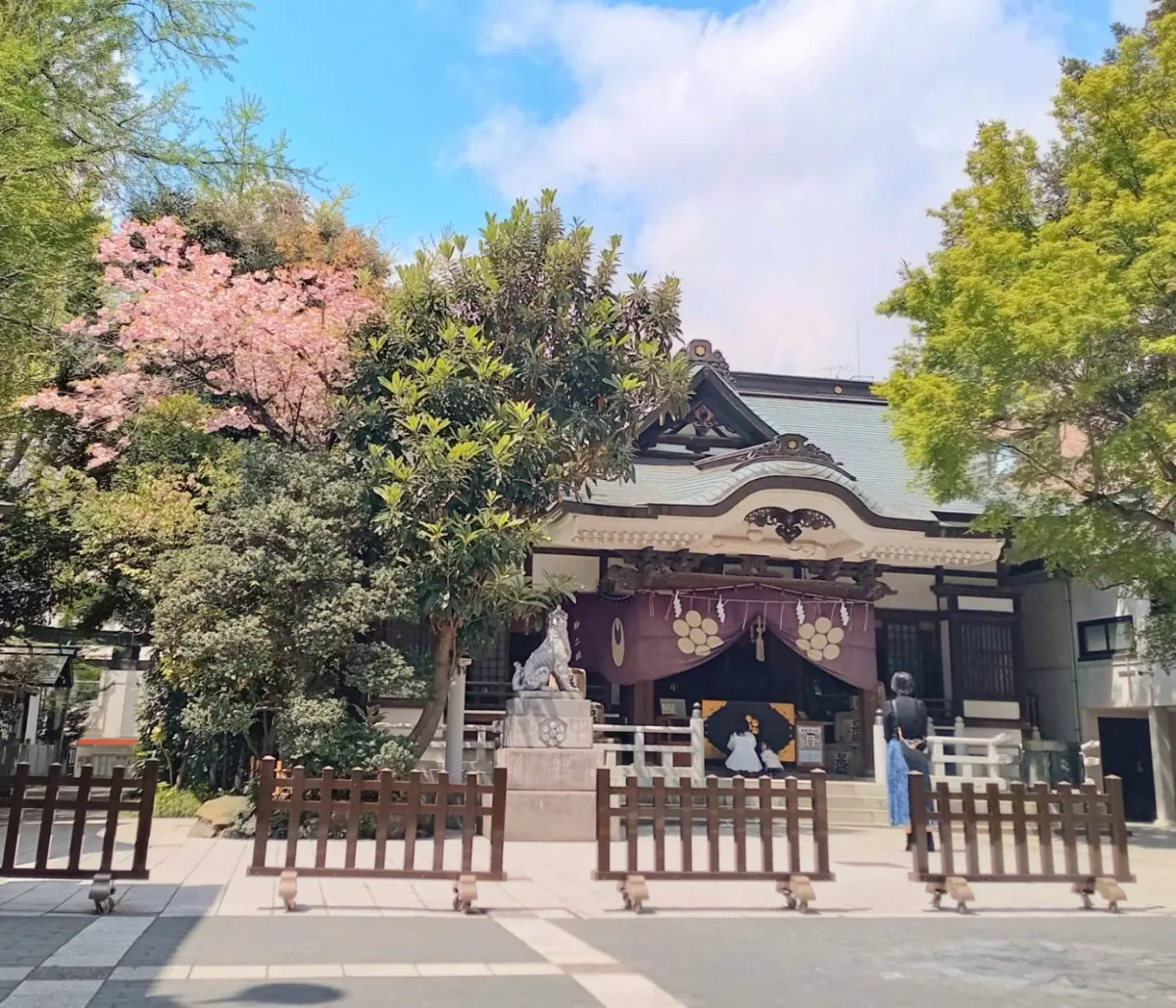 Torigoe Shrine New Year's Visit