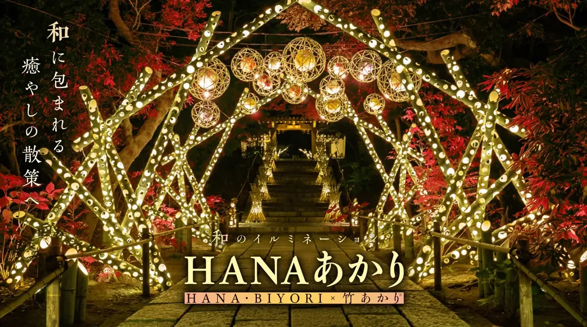 HANA Akari～HANA・BIYORI×Bamboo Akari～