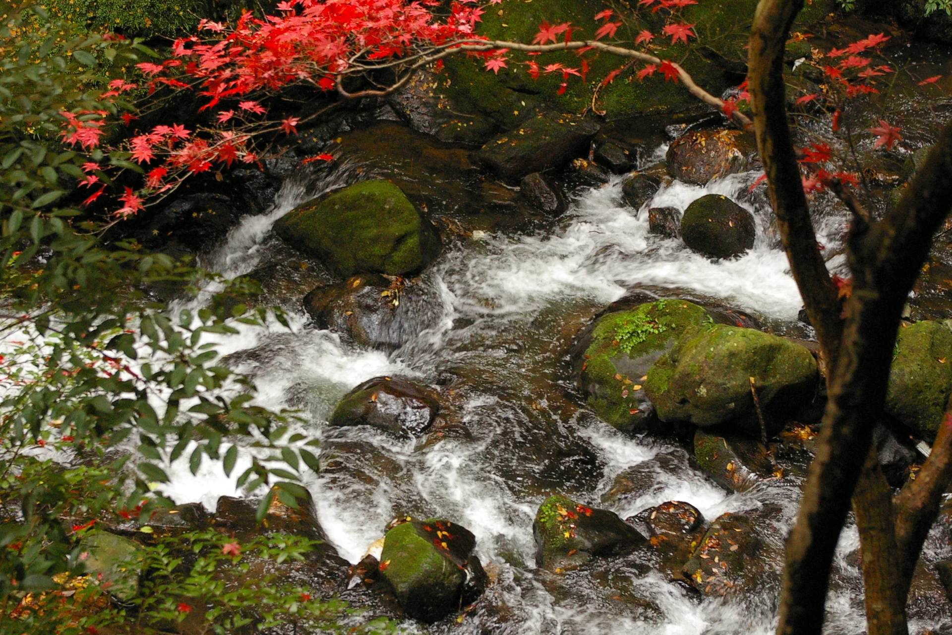 Manyo Park