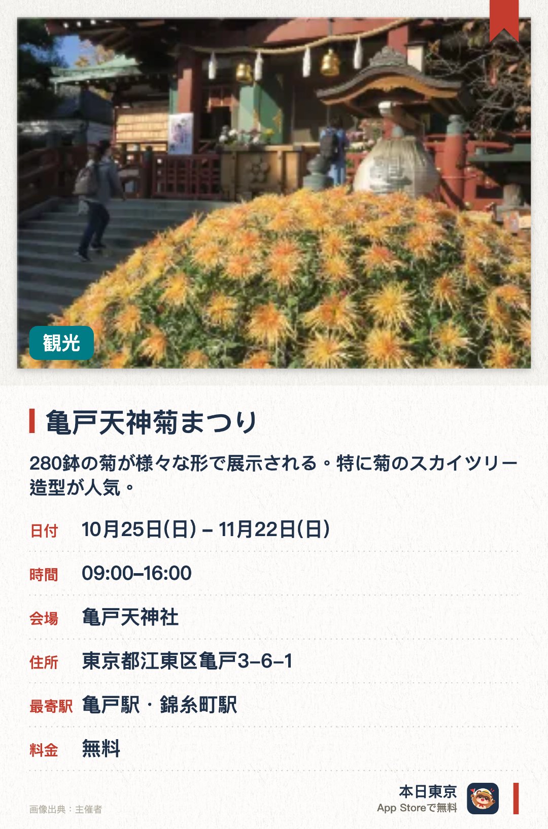 亀戸天神菊まつり。10月25日–11月22日 · 東京都　亀戸天神社。280鉢の菊が様々な形で展示される。特に菊のスカイツリー造型が人気。