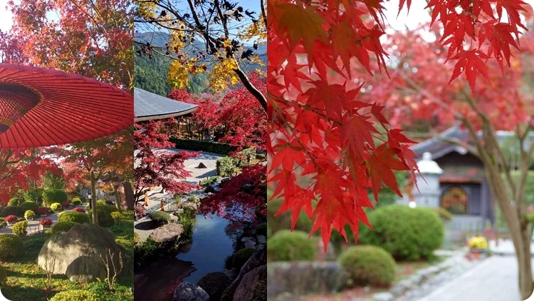 宝徳寺の紅葉