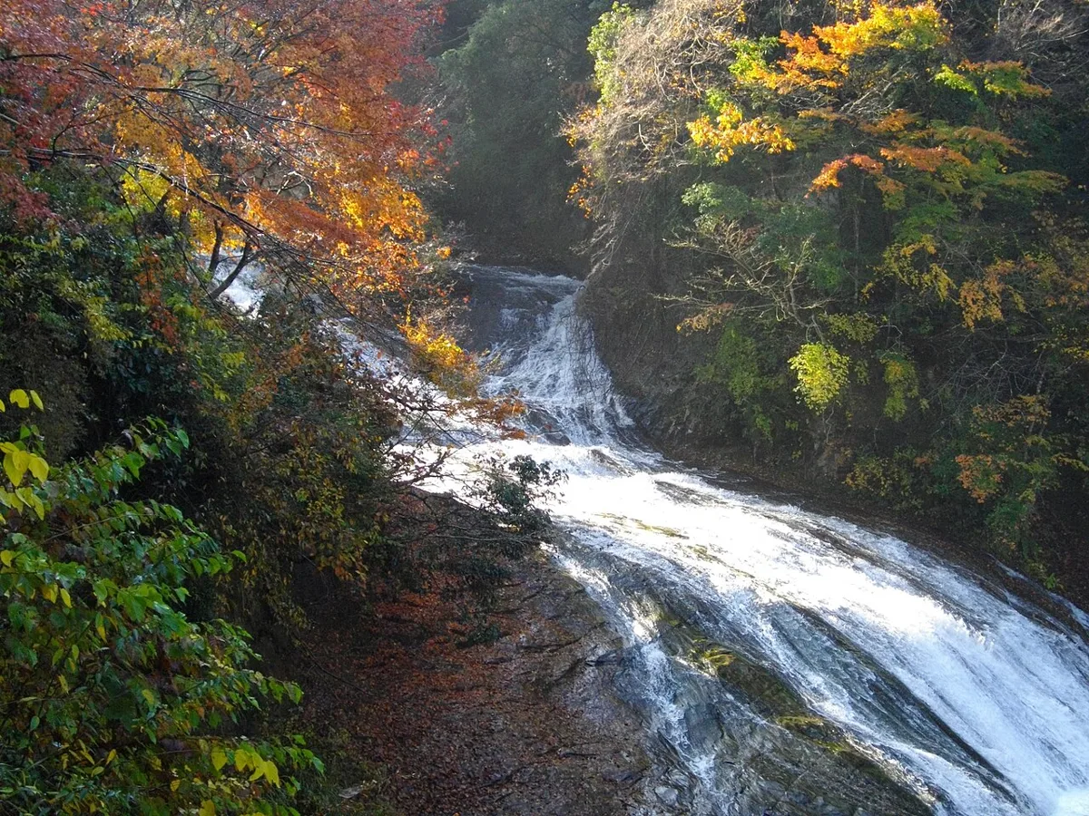 養老渓谷・粟又の滝の紅葉