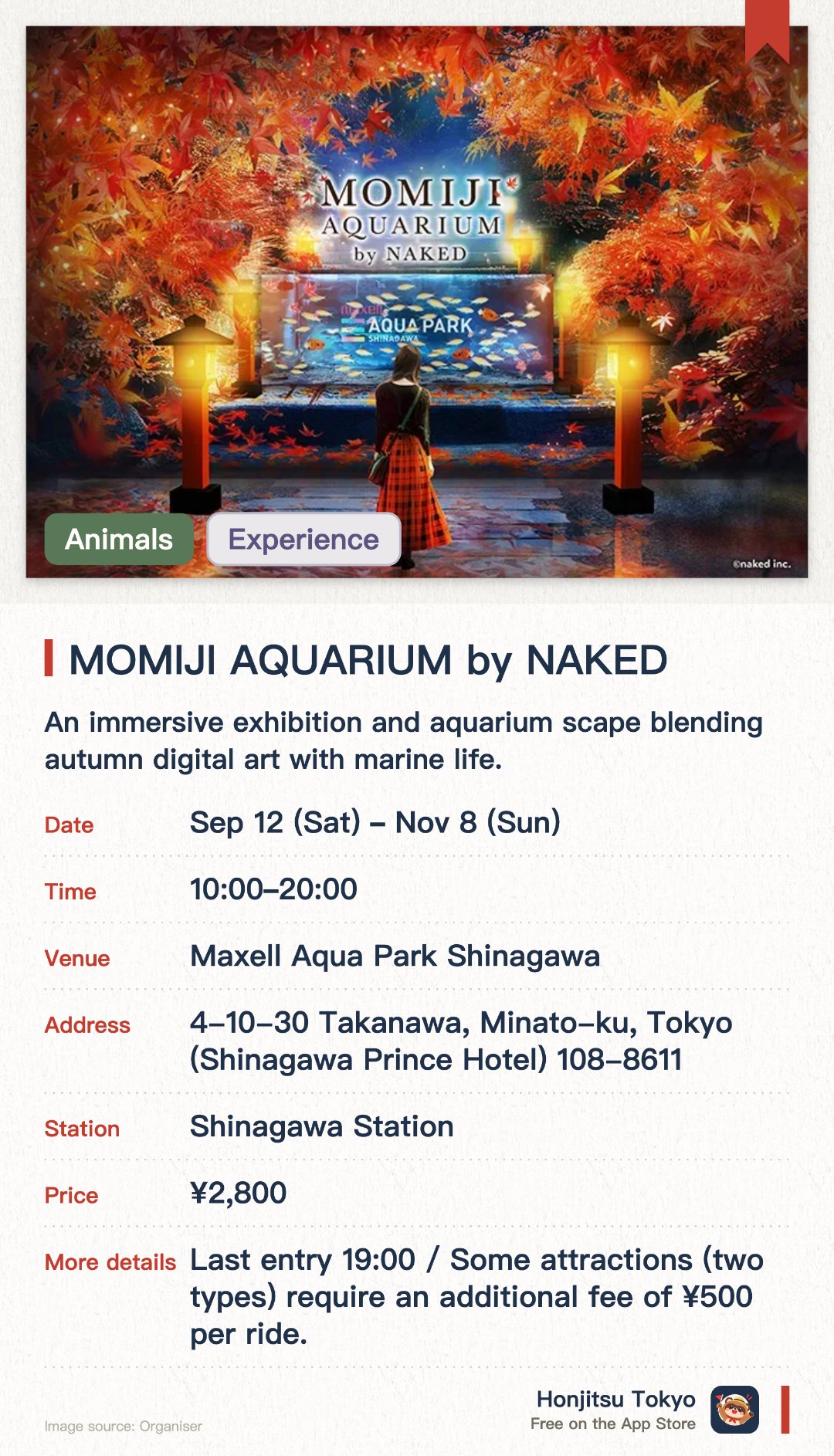 MOMIJI AQUARIUM by NAKED. 12 Sep–8 Nov · Maxell Aqua Park Shinagawa. An immersive exhibition and aquarium scape blending autumn digital art with marine life. Jellyfish illuminated by Japanese instruments and lights, featuring distinct day and night dolphin performances. The cafe offers specialty drinks incorporating seasonal autumn ingredients