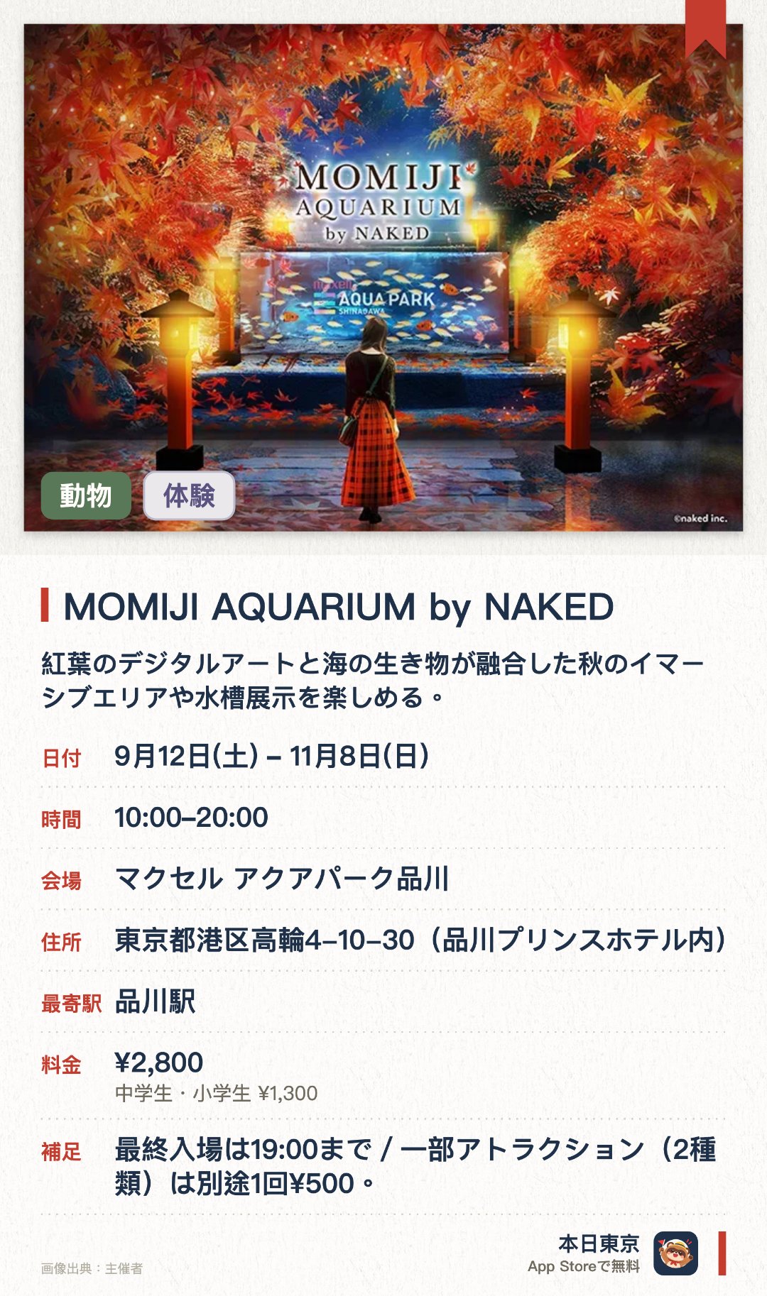 MOMIJI AQUARIUM by NAKED。9月12日–11月8日 · 東京都　マクセル アクアパーク品川。紅葉のデジタルアートと海の生き物が融合した秋のイマーシブエリアや水槽展示を楽しめる。和楽器の音色と照明でクラゲの美しさを引き立てるほか昼夜異なる演出のドルフィンパフォーマンスを開催する。秋の味覚を取り入れたドリンクを提供するカフェがある