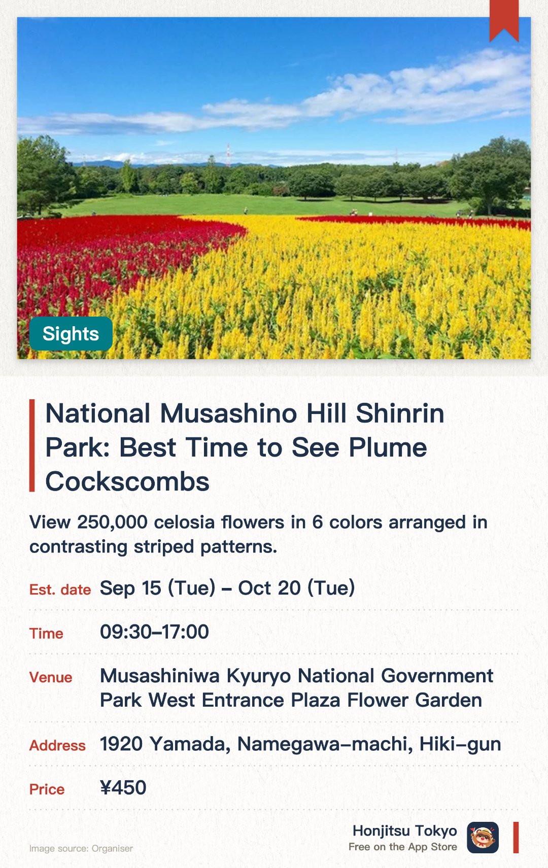 National Musashino Hill Shinrin Park: Best Time to See Plume Cockscombs. 15 Sep–20 Oct · Musashiniwa Kyuryo National Government Park West Entrance Plaza Flower Garden. View 250,000 celosia flowers in 6 colors arranged in contrasting striped patterns.. Blooming timing varies by weather; advance check with management center recommended.