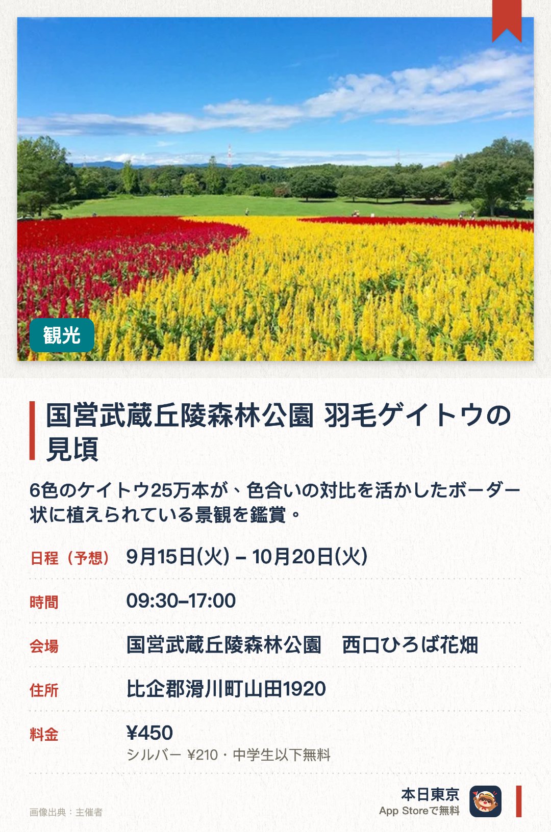 国営武蔵丘陵森林公園 羽毛ゲイトウの見頃。9月15日–10月20日 · 国営武蔵丘陵森林公園　西口ひろば花畑。6色のケイトウ25万本が、色合いの対比を活かしたボーダー状に植えられている景観を鑑賞。。気象次第で開花時期が前後するため、事前の確認推奨。