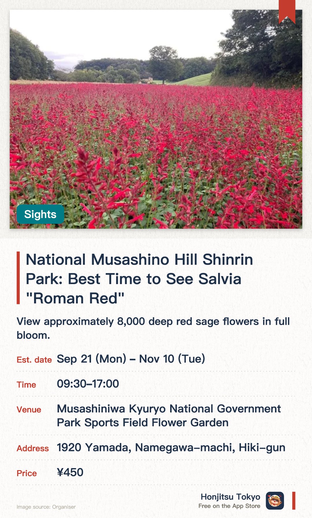 National Musashino Hill Shinrin Park: Best Time to See Salvia "Roman Red". 21 Sep–10 Nov · Musashiniwa Kyuryo National Government Park Sports Field Flower Garden. View approximately 8,000 deep red sage flowers in full bloom.. Flowering period varies by weather; distinctive sage fragrance.