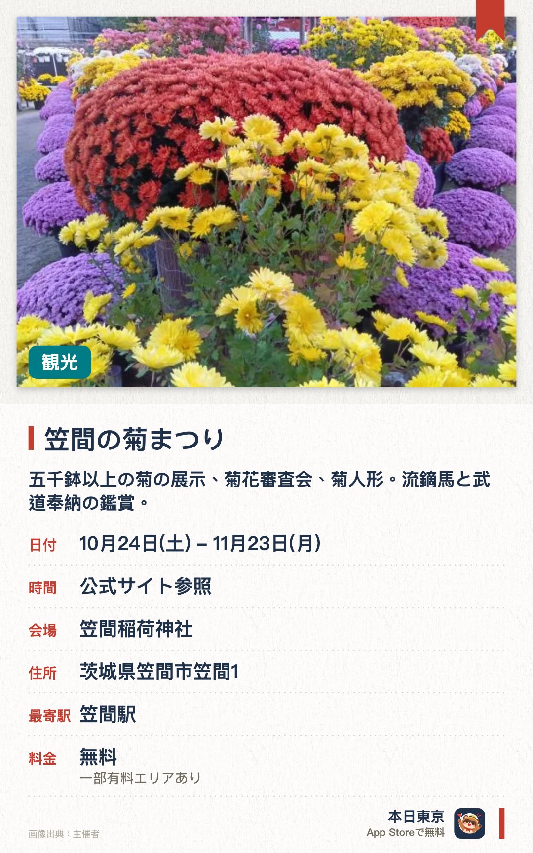 笠間の菊まつり。10月24日–11月23日 · 笠間稲荷神社。五千鉢以上の菊の展示、菊花審査会、菊人形；流鏑馬と武道奉納の鑑賞。。祭限定朱印あり；水に浮く菊の手水舎。