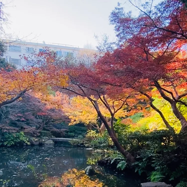 Togoshi Park