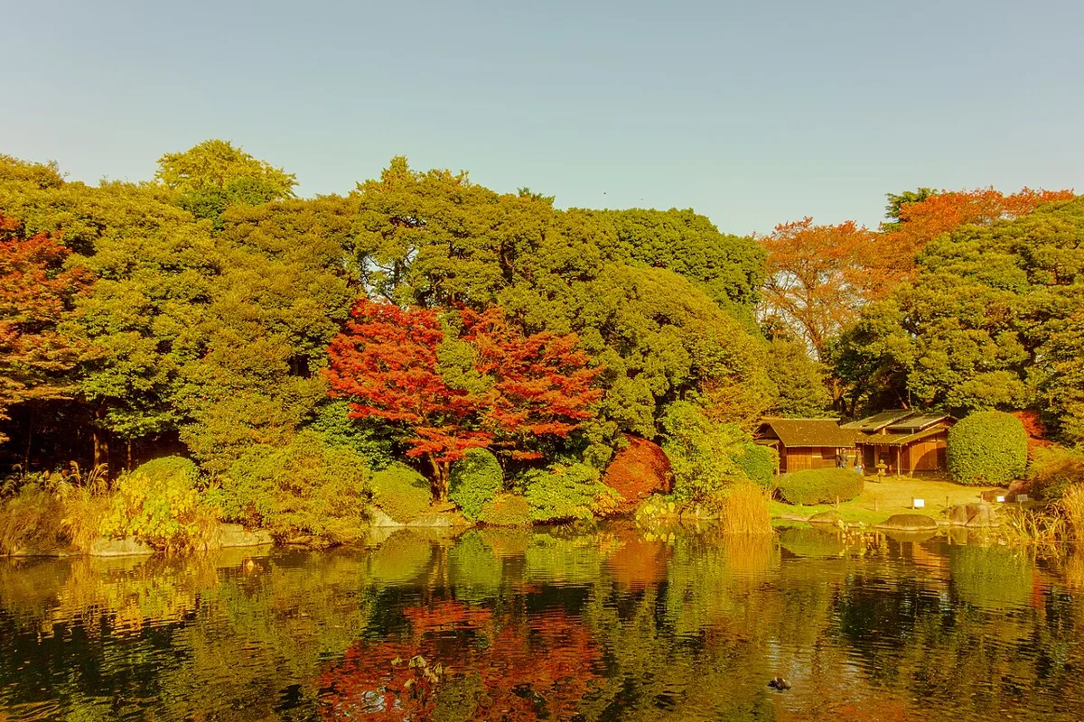 東京国立博物館の紅葉
