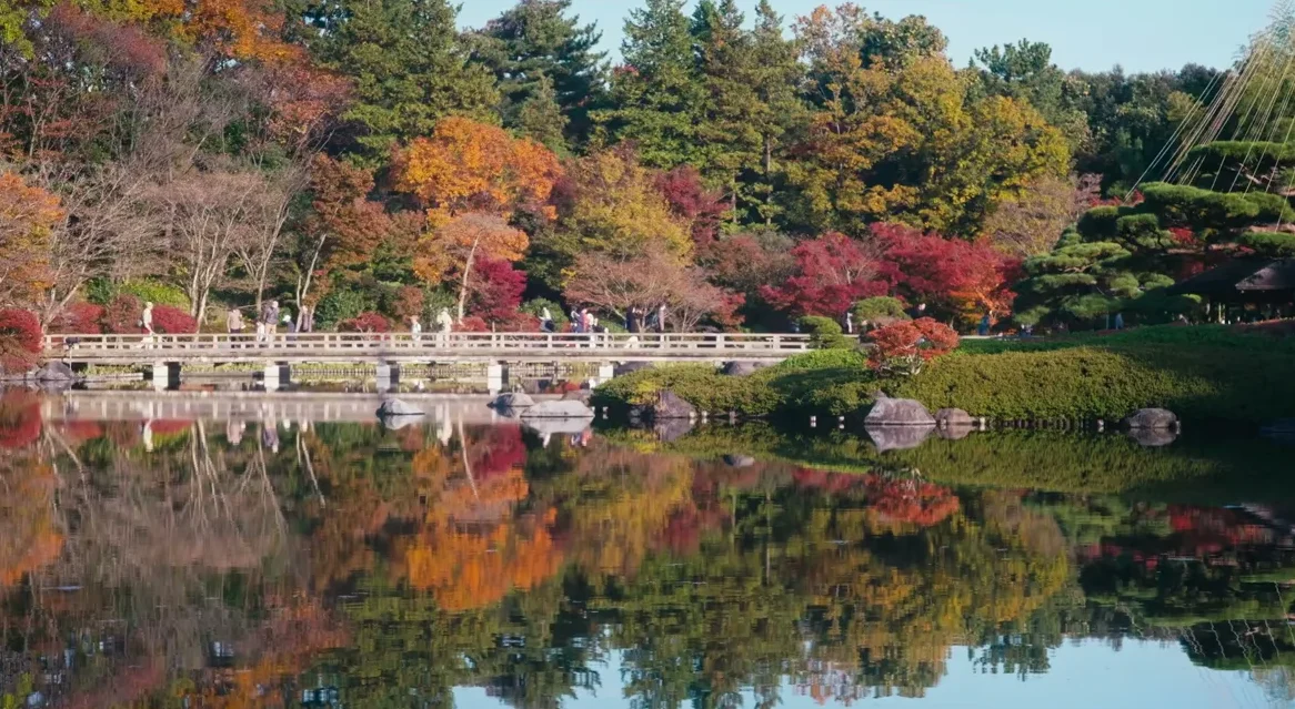 Showa Memorial Park