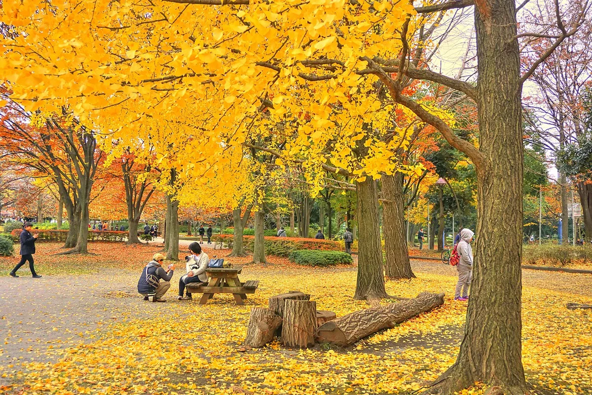 猿江恩賜公園