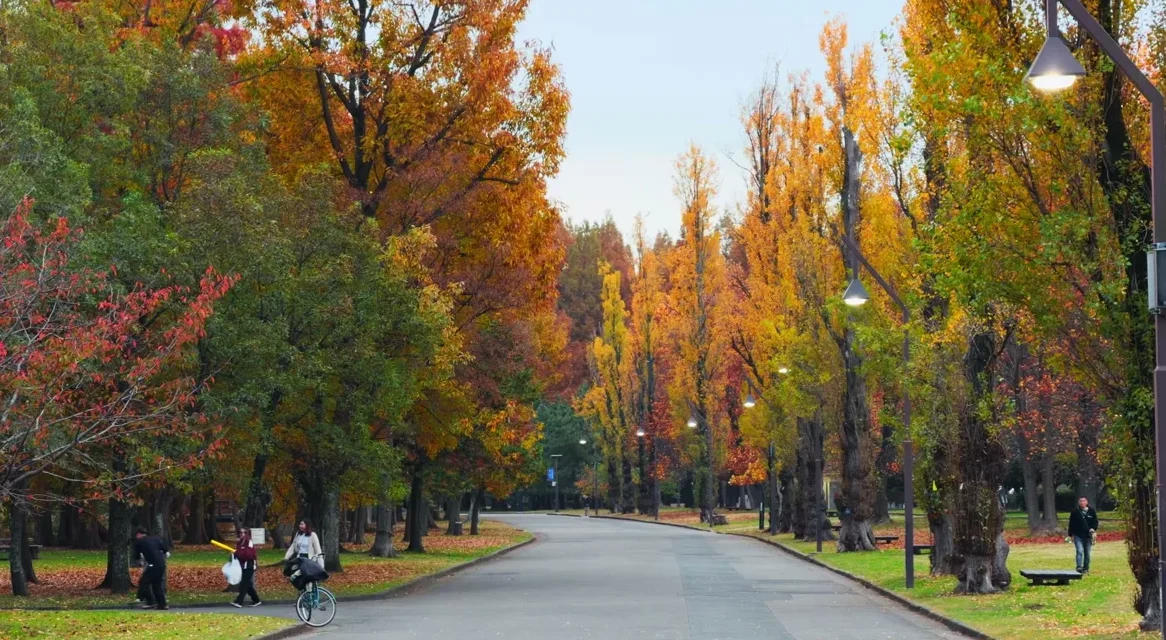 水元公園