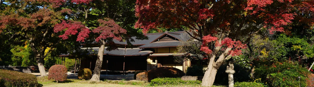 皇居東御苑の紅葉