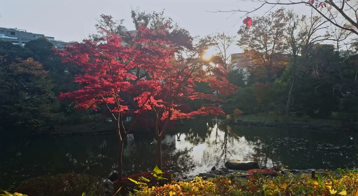 有栖川宮記念公園の紅葉