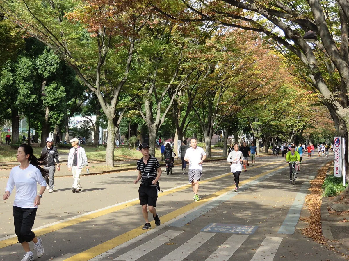 駒沢オリンピック公園の紅葉