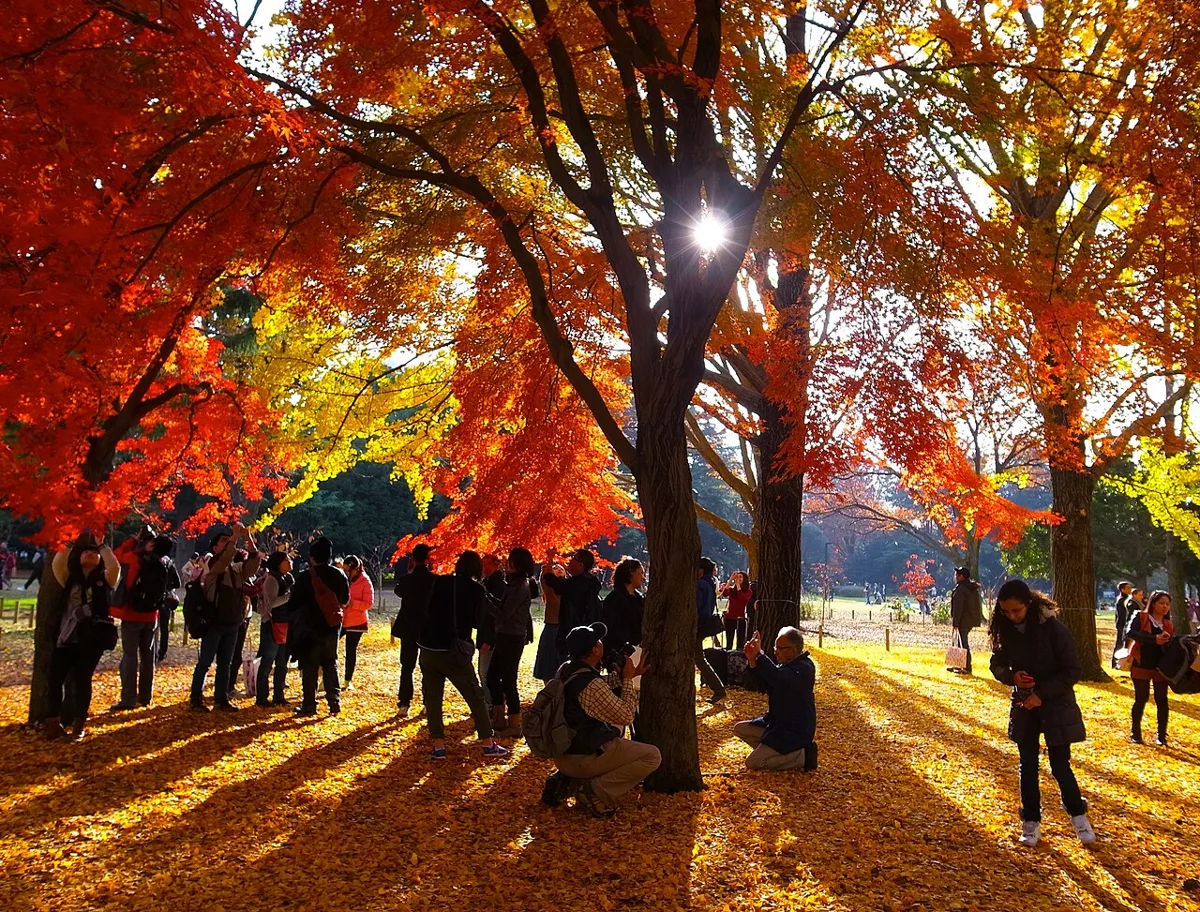 Yoyogi Park