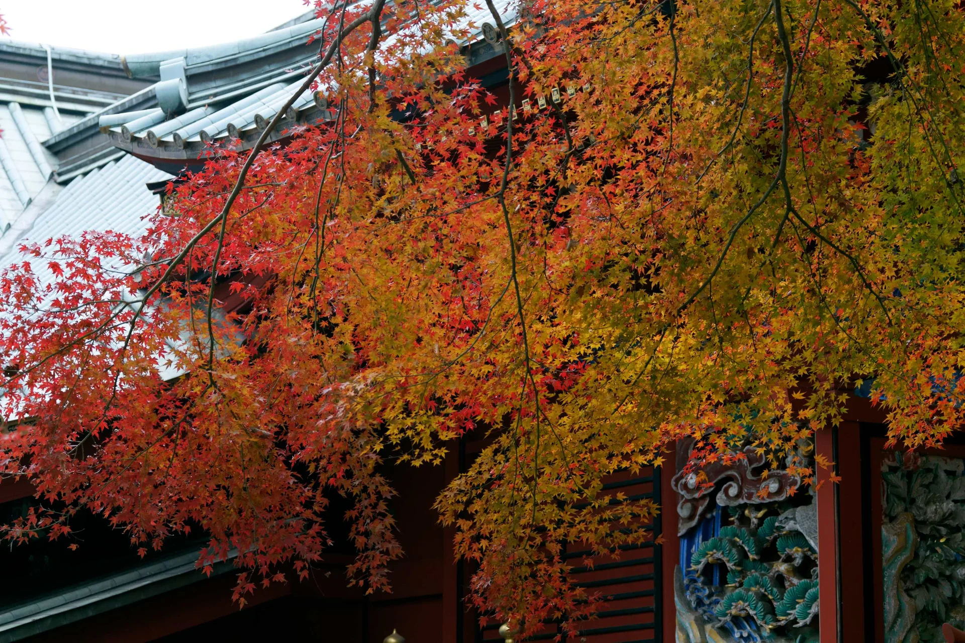 Mt. Takao