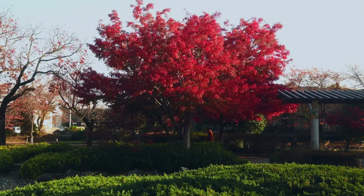 陵南公園