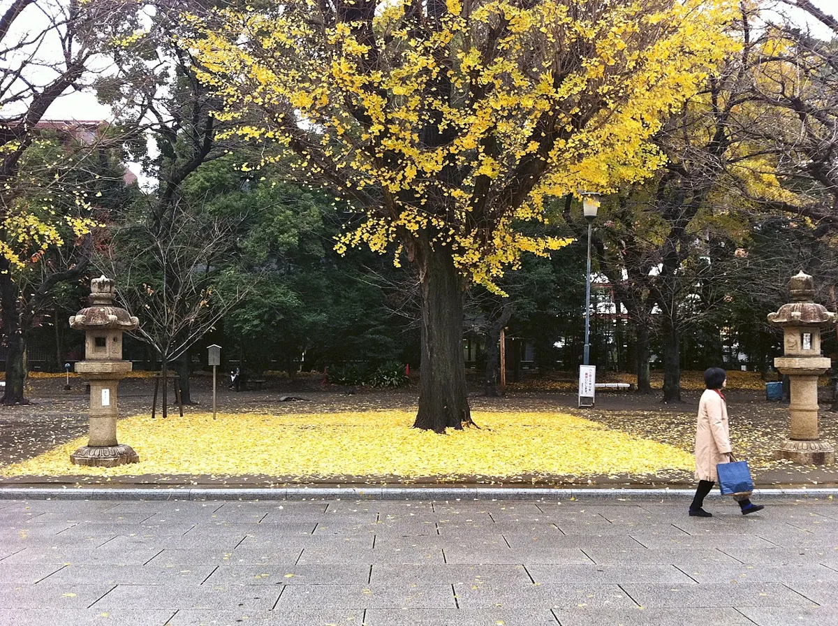 Yasukuni Shrine