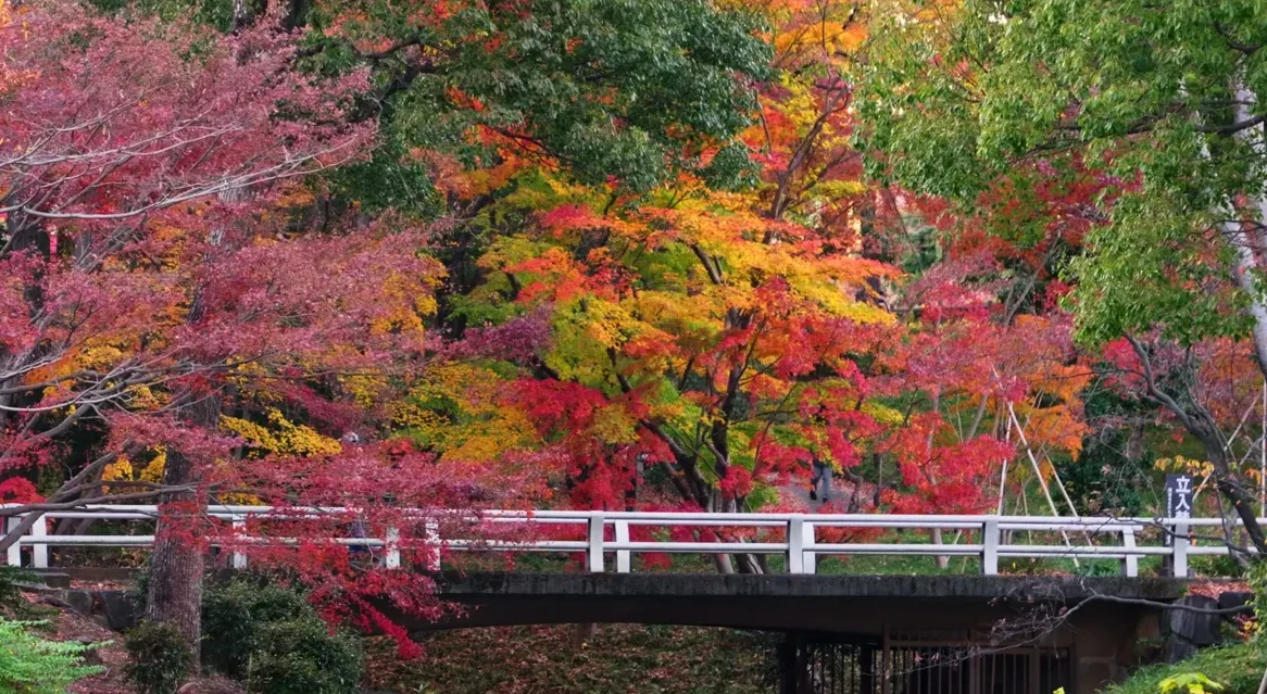 北之丸公園