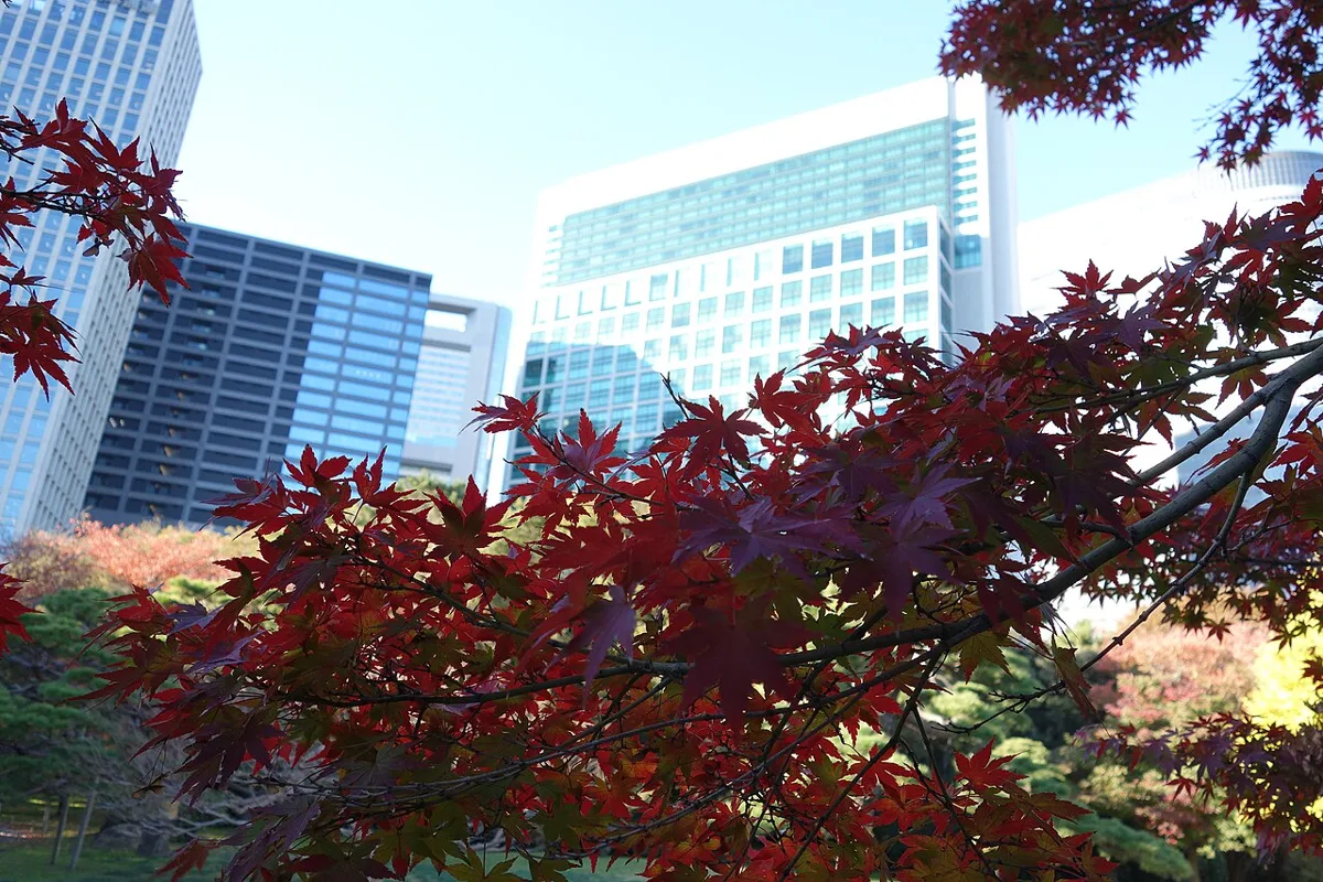 濱離宮恩賜庭園