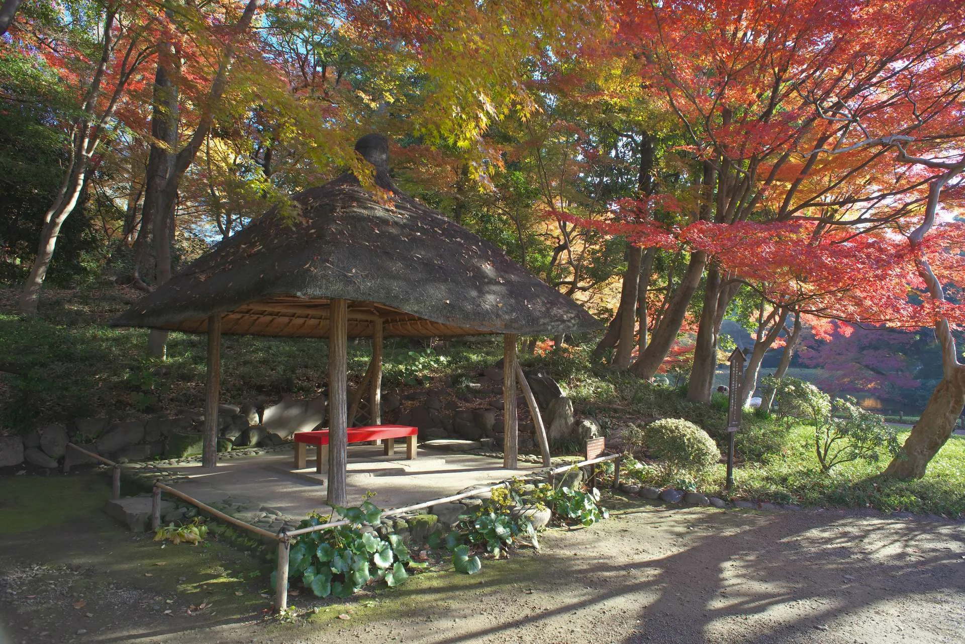 小石川後楽園の紅葉