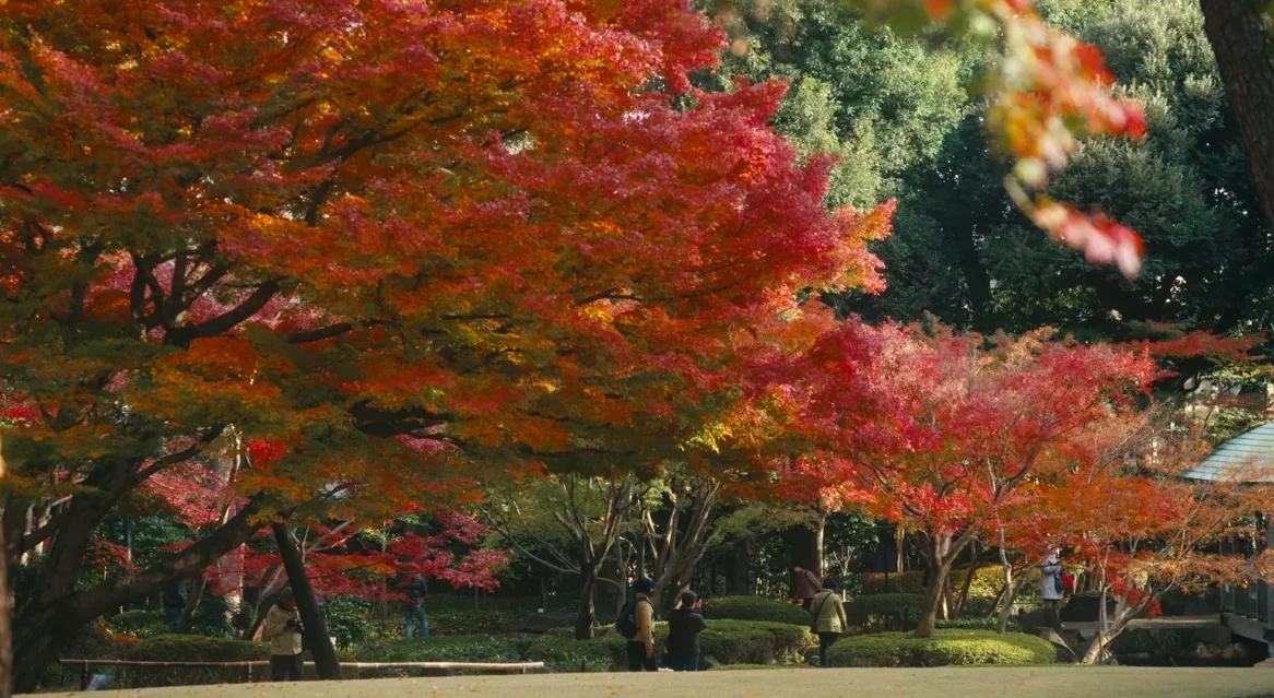 Otaguro Park