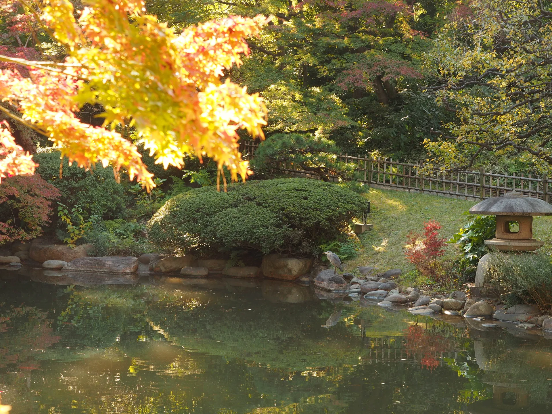 東京都庭園美術館の紅葉