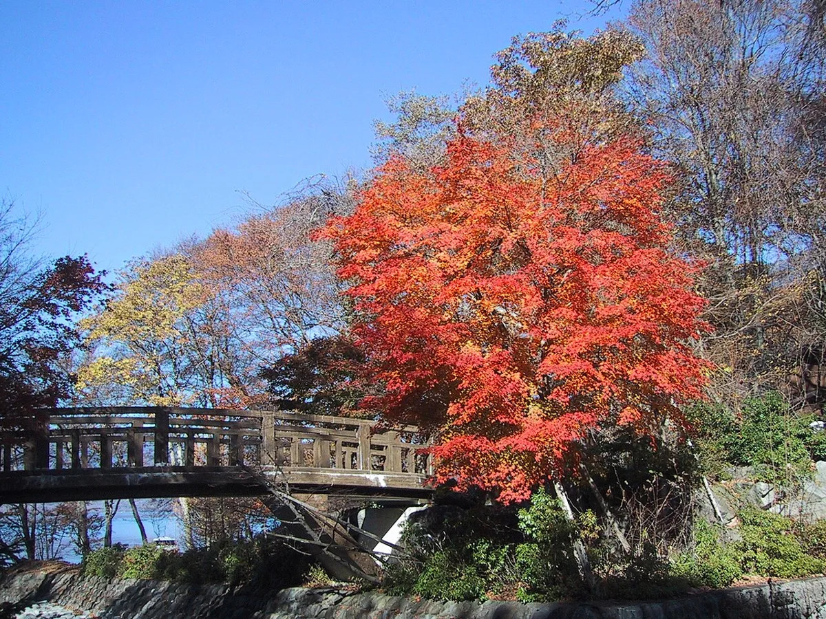 イタリア大使館別荘記念公園の紅葉