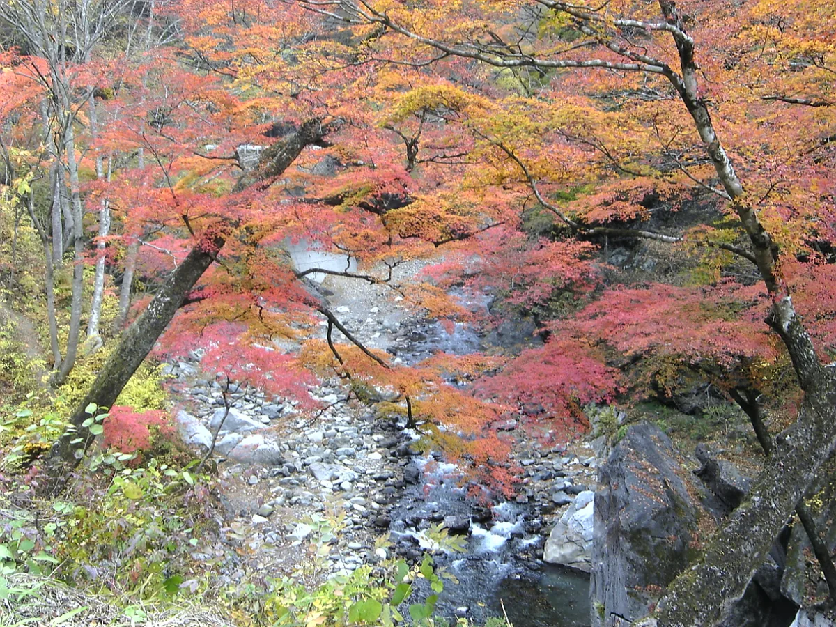 中津峡の紅葉