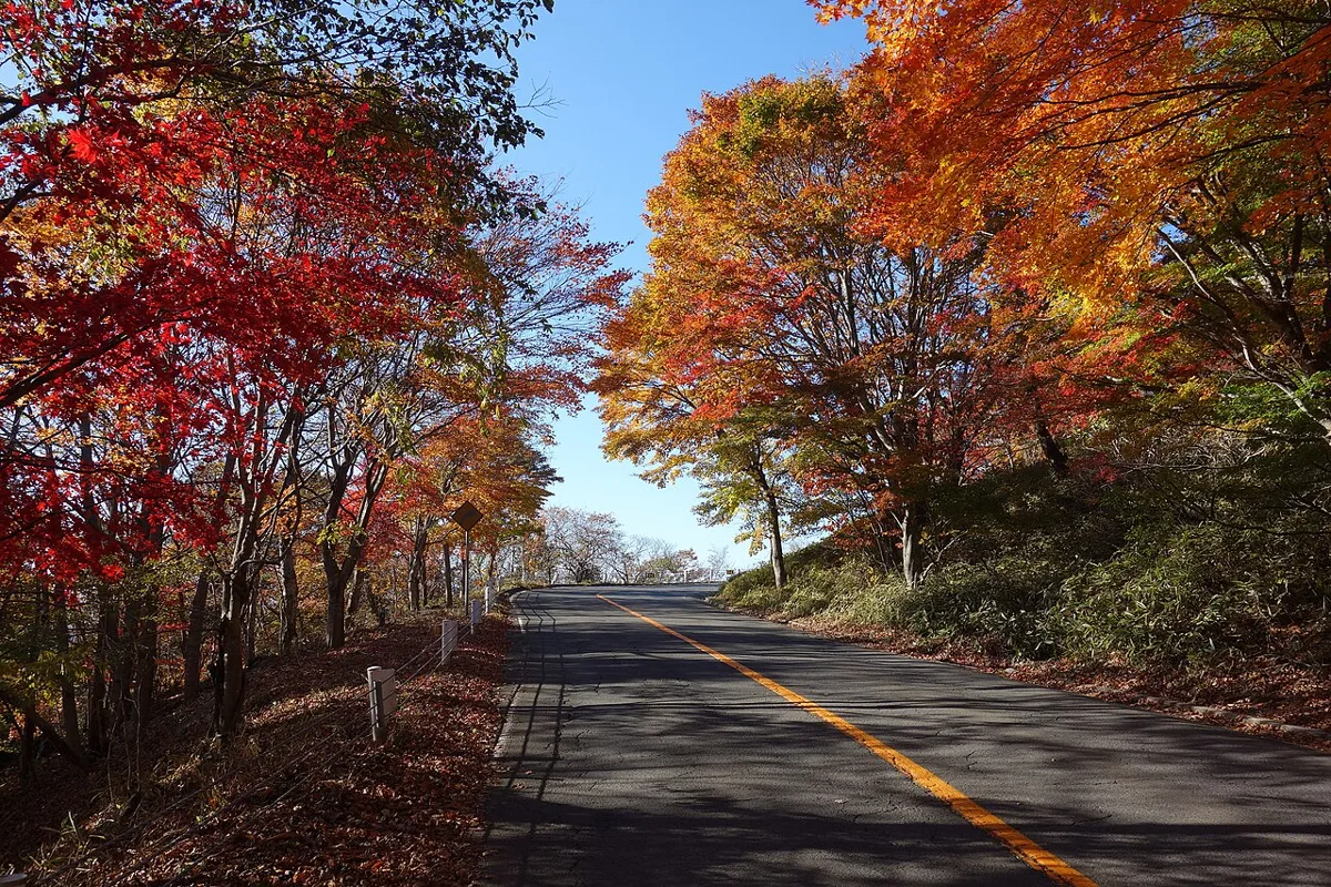 日鹽紅葉線