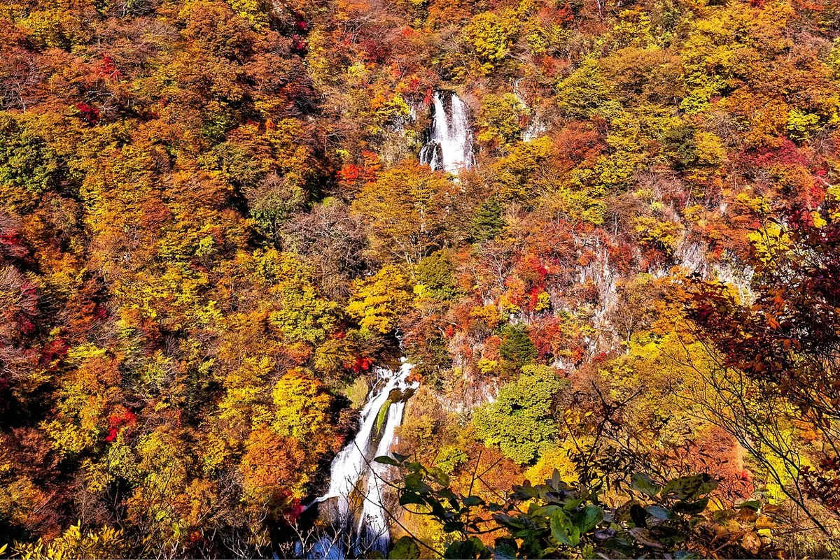 日光(霧降滝)の紅葉