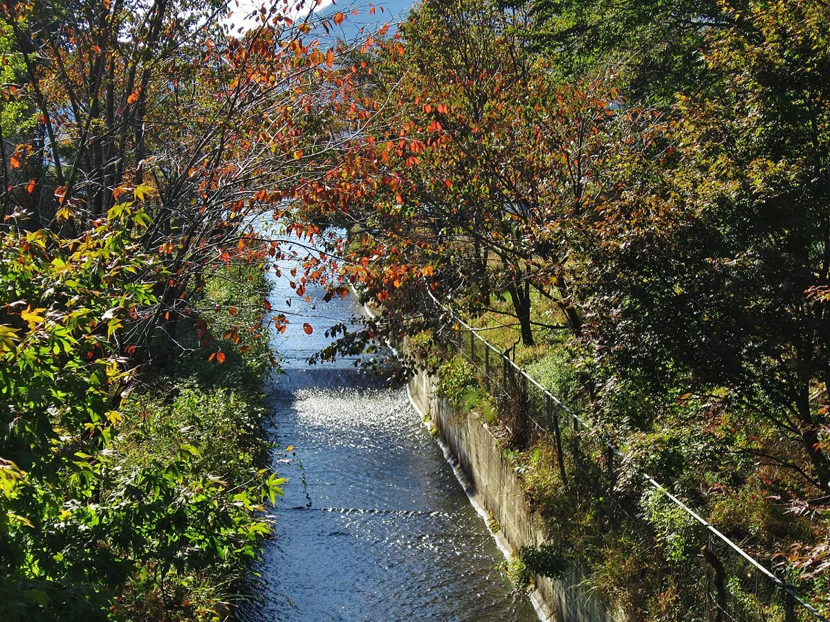 榛名山・榛名湖の紅葉