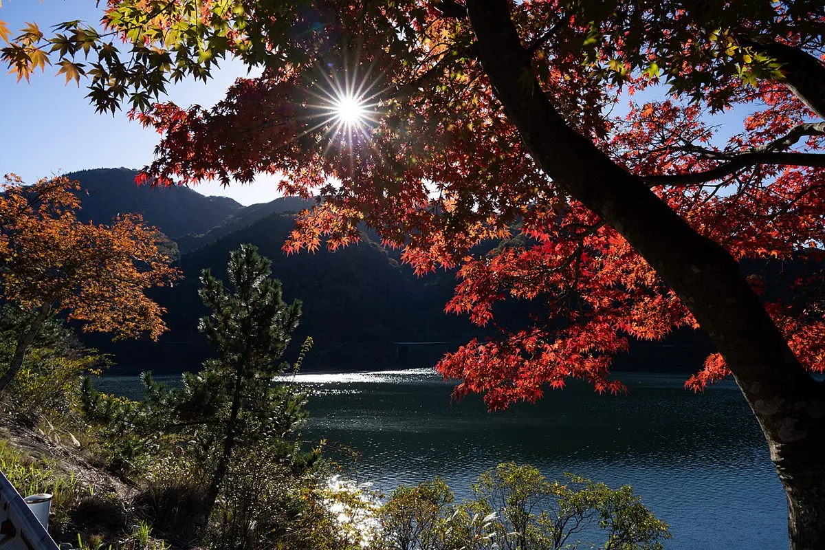 丹沢湖の紅葉