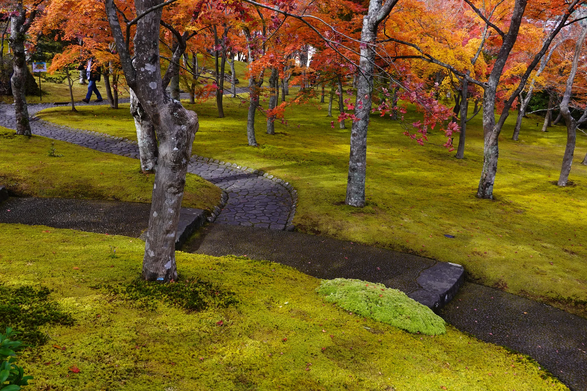 Hakone Museum of Art