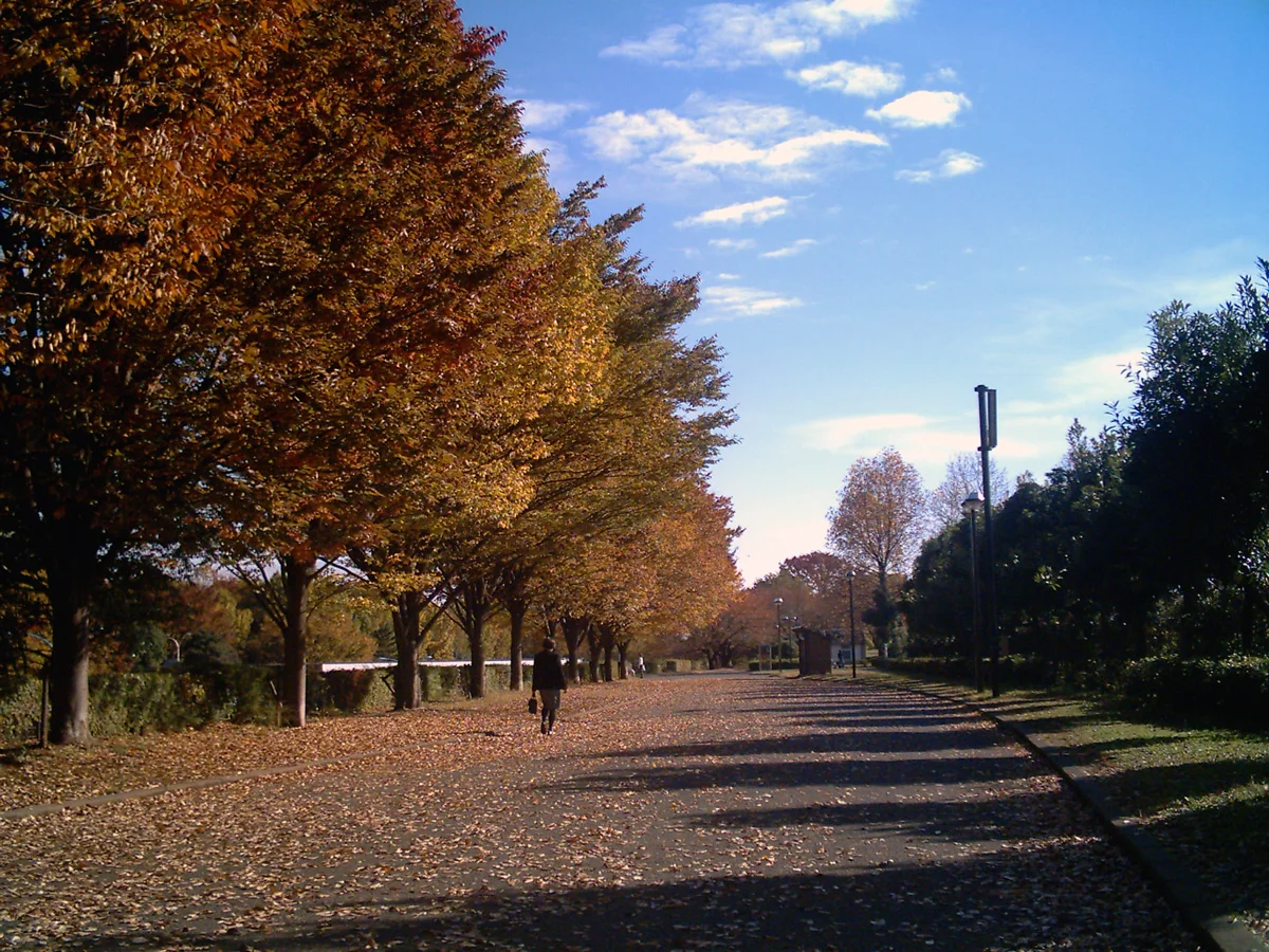 所沢航空記念公園の紅葉