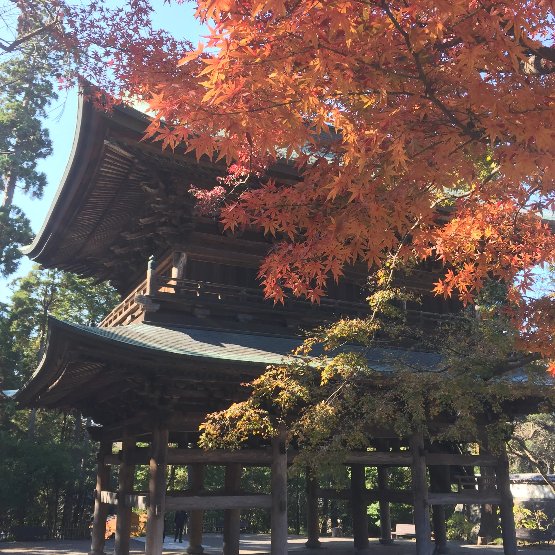 円覚寺境内の紅葉