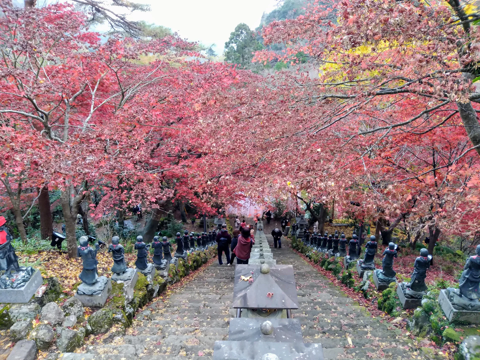 大山寺・大山阿夫利神社下社の紅葉