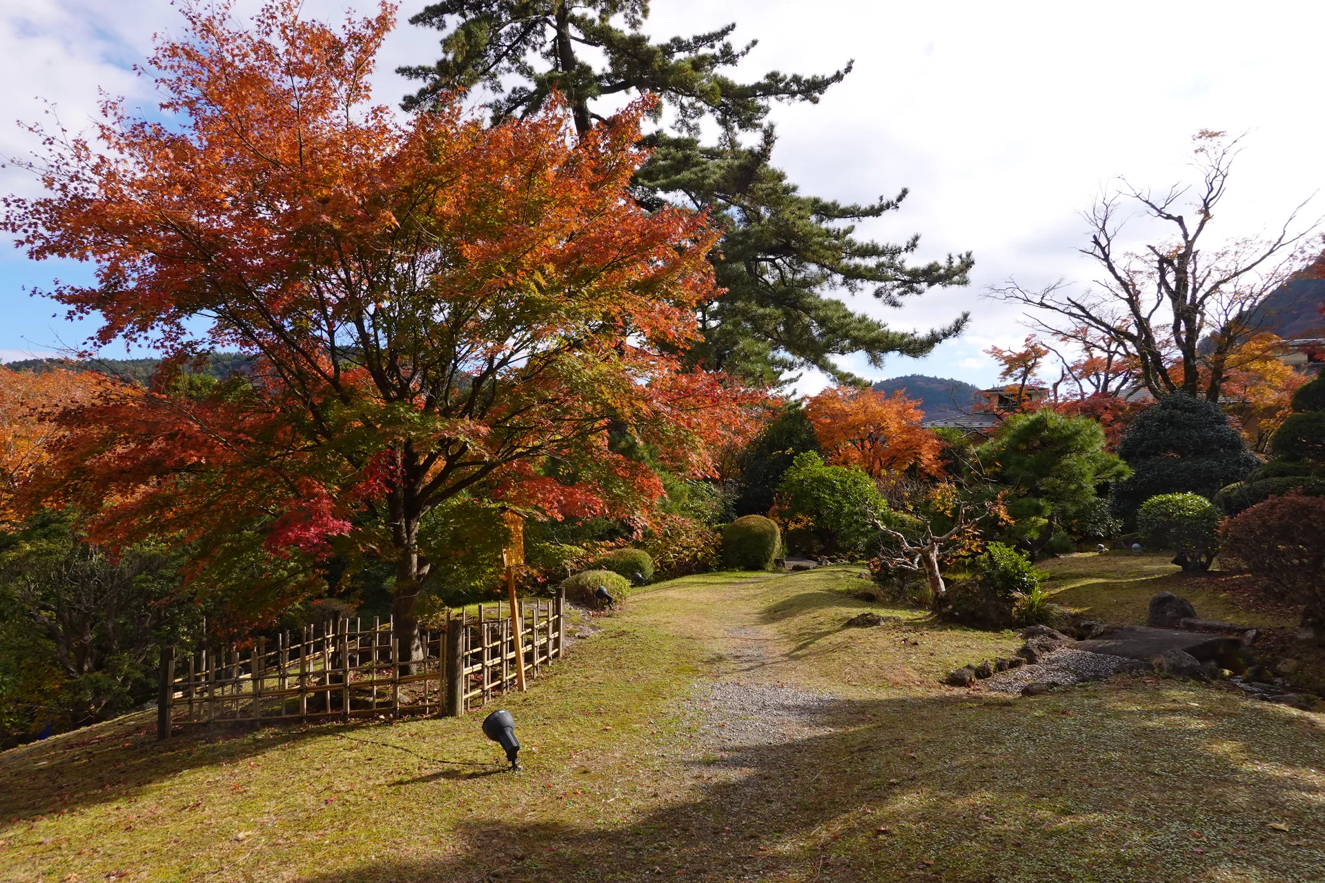 箱根小涌園 蓬莱園の紅葉