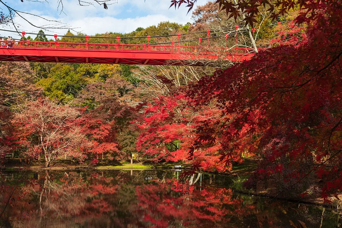 泉自然公園